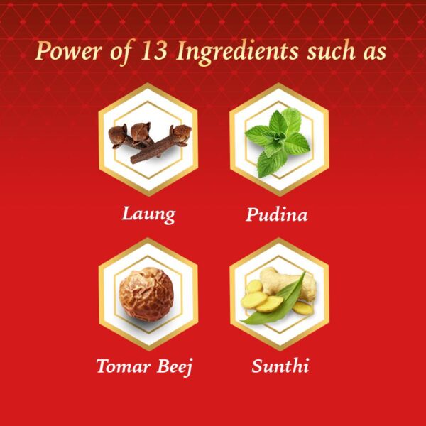 Dabur Red India's No.1 Ayurvedic Fluroide Free Paste, 100 grm - Image 3
